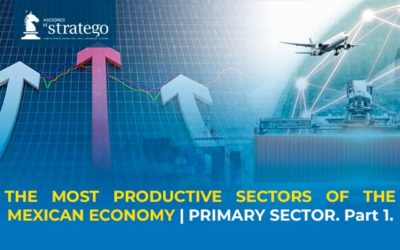 THE MOST PRODUCTIVE SECTORS OF THE MEXICAN ECONOMY | PRIMARY SECTOR. Part 1.