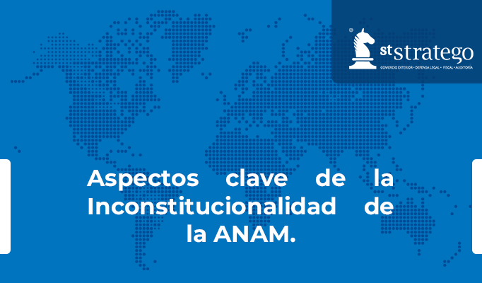 Aspectos clave de la Inconstitucionalidad de la ANAM.
