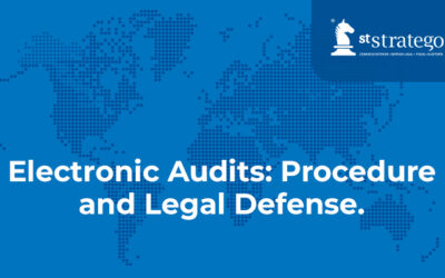 Electronic Audits: Procedure and Legal Defense.